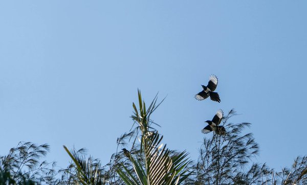 Forum Liberation Lyon